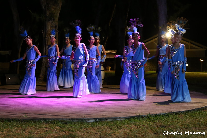 bleu et argent, pour la danse daï du paon,